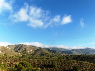 niebla matinal © norrie39