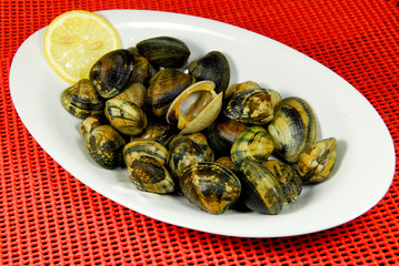 vongole