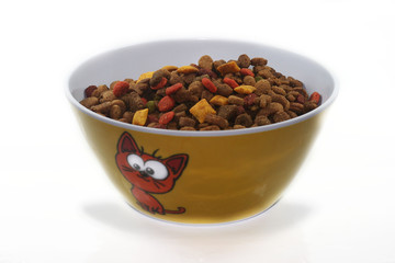 cat's food