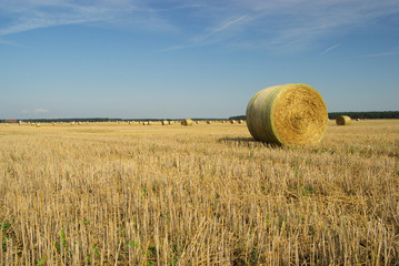 Strohballen - bale of straw 23