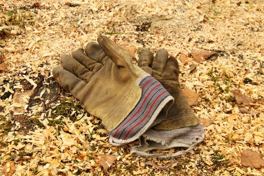 arbeitshandschuhe I