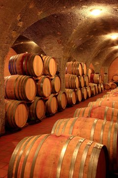 Barrique Holzf&auml;sser Weinkeller Montalcino Toskana Italien