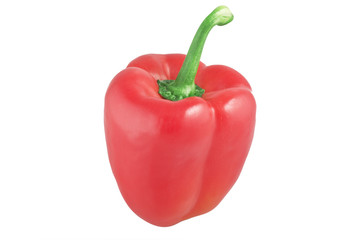 Peperone Rosso 1 11 09
