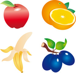 Fruits vector