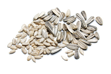 Sunflower seed isolated on white
