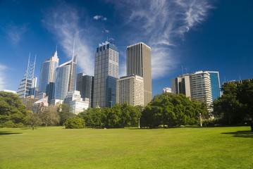 Fototapeta premium Sidney diwntown