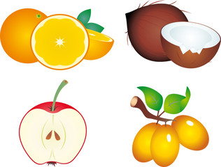 Fruits vector
