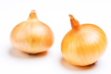 Obraz premium Onion