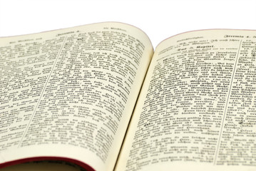 Fototapeta premium Ahnenbibel 11