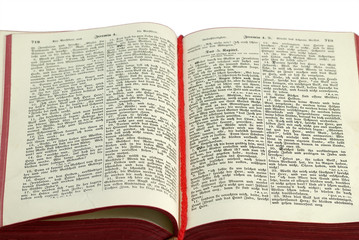 Obraz premium Ahnenbibel 12