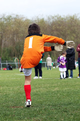 Obraz premium dégagement du gaol