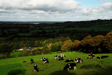 Fototapeta premium Ireland