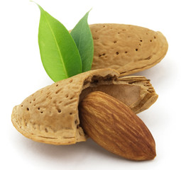 Almond
