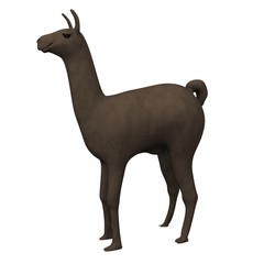 lama