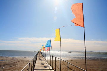 In the sea of colorful flags tree