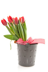 bouquet red tulips