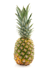 Fototapeta premium tropical pineapple