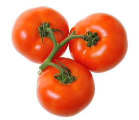 Tomatoes isolated on white background