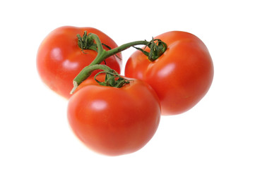 Tomatoes isolated on white background