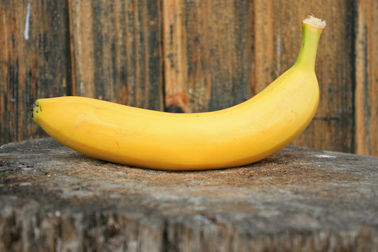 Photo of a vivid colored banana on a log