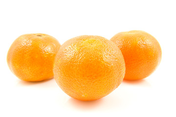 three mandarin over white background