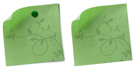 green ecological memo notes isolated on white