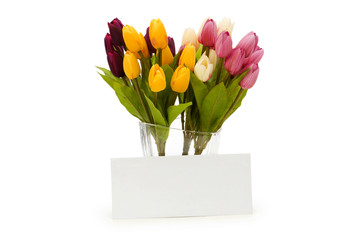 Tulips and blank message isolated on white