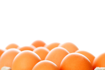 Chicken eggs in the carton