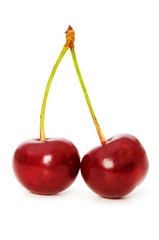Cherries isolated on the white background