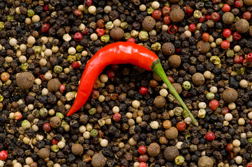 Red and green peppers on pepper background