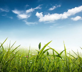 idyllic landscape