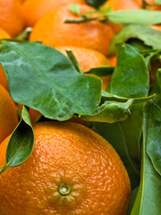 Mandarinen