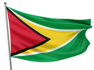 Guyana National Flag