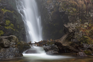 Todtnauer Wasserfall II