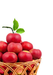 Basket of apples