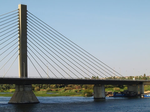 Fototapeta Suspension bridge across the Nile in Egypt