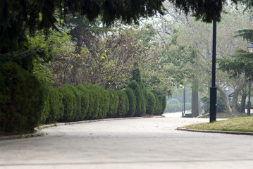 stone path outdoor