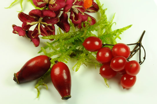 Designelemente Thema Herbstfarben