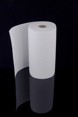 Paper towel roll on black