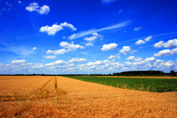 Landwirtschaftliche Nutzflächen
