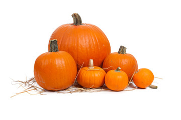 Assorted pumpkins with straw on white