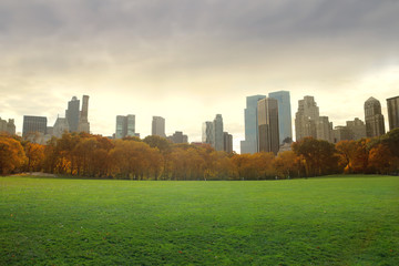 Fototapeta premium central park