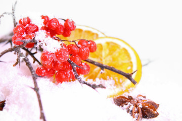 weihnachten,schnee