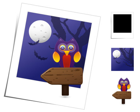 Animal Scenes / Halloween Owl