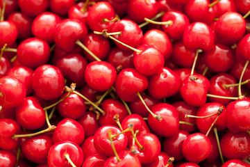 A basket of delicious fresh cherries!