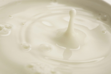 milk
