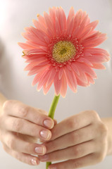 Girl Holding Flowers