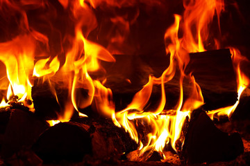 Close-up of fire and flames.