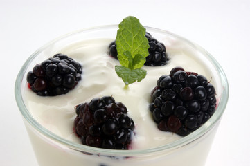 some organic blackberry in yogurt and mint