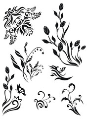 Collection of floral patterns